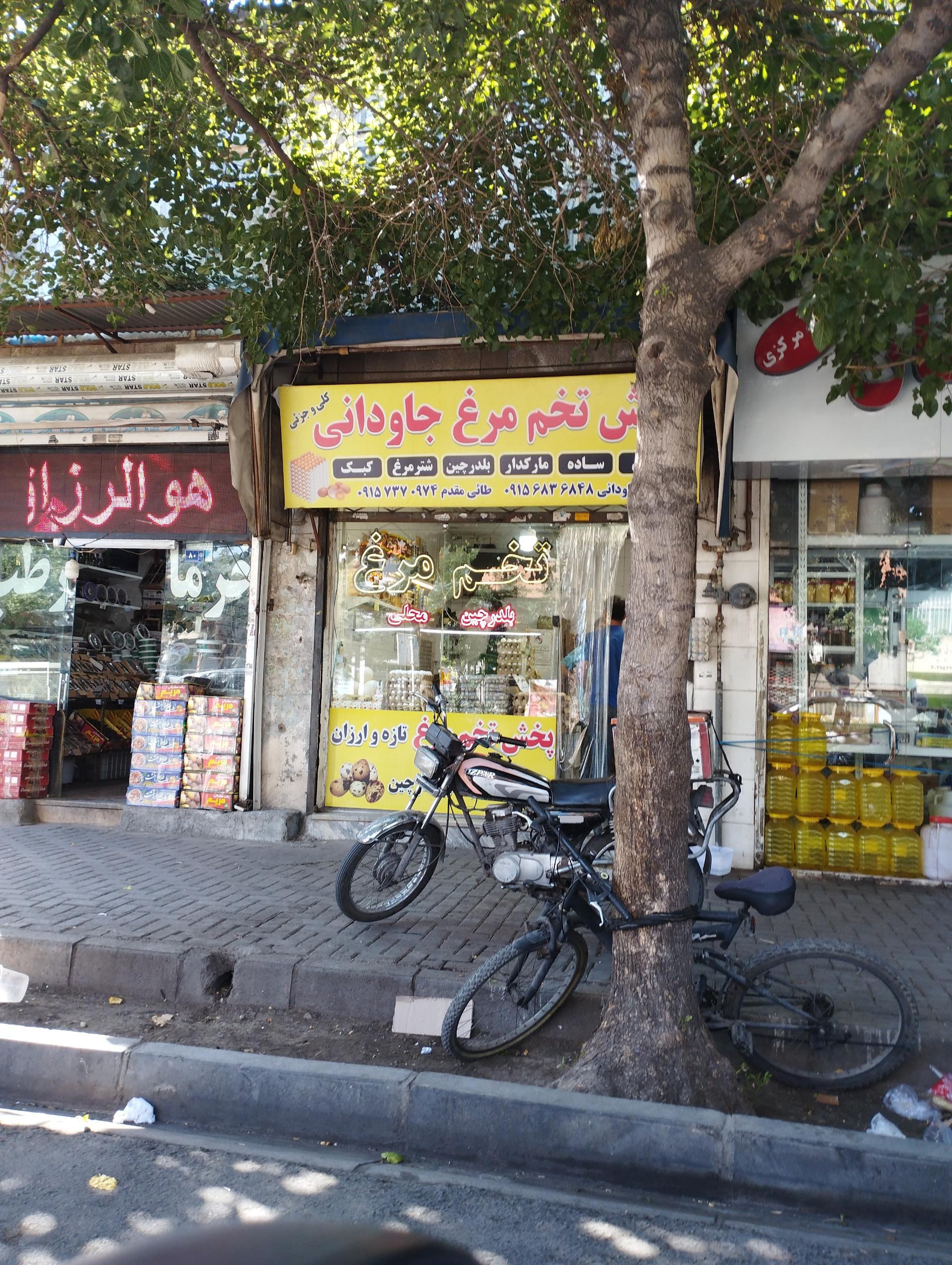 عکس تخم مرغ جا‌ودانی