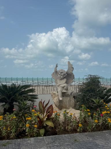 عکس کافه مندا