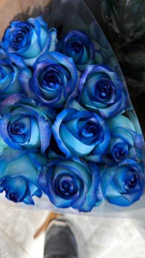 عکس گلفروشی رز 