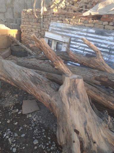 عکس انبار چوب رحیم زاده