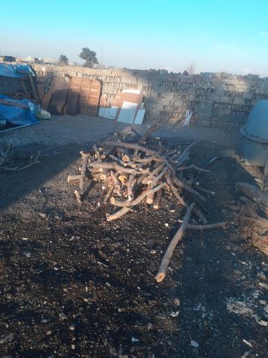 عکس انبار چوب رحیم زاده