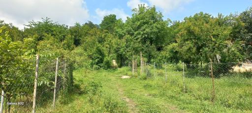 عکس بازارجمعه