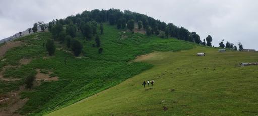عکس بازار جمعه