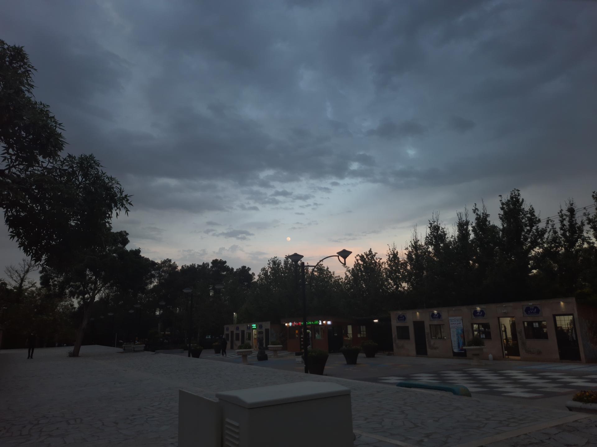 عکس فضای سبز و استراحت سالن مطالعه ی مرکزی