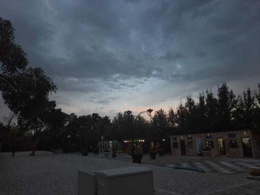 عکس فضای سبز و استراحت سالن مطالعه ی مرکزی