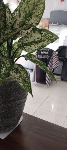 عکس پیرایش کات مَن