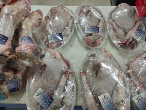 عکس سوپر پروتئین کیا