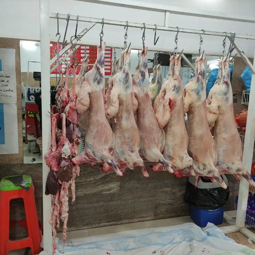 عکس سوپر پروتئین کیا