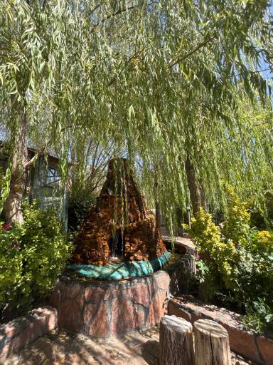 عکس باغ رستوران رز