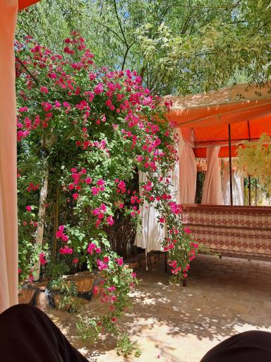 عکس باغ رستوران رز