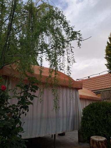 عکس باغ رستوران رز