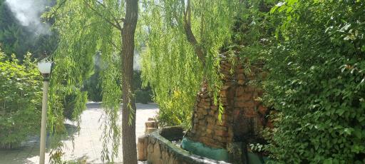 عکس باغ رستوران رز