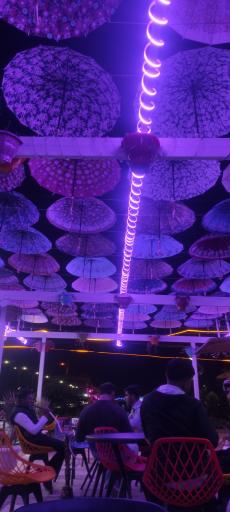 عکس کافه ایلیا