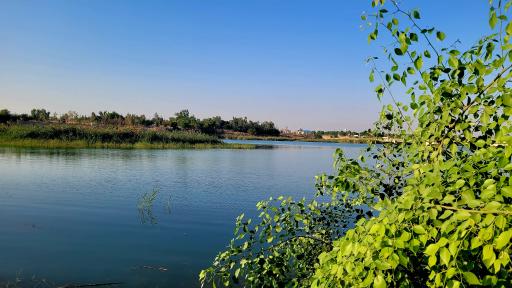 عکس پارک برکه