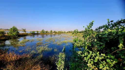عکس پارک برکه
