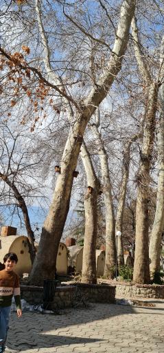 عکس دهکده ایرانی