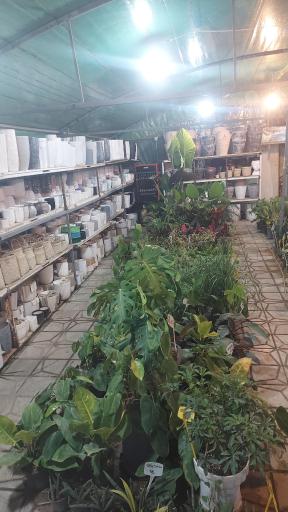 عکس گلخانه اکسیژن 