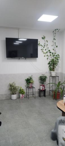 عکس شبکه بهداشت و درمان شهرستان بیضا