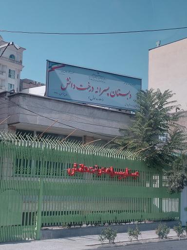 عکس دبستان پسرانه درخت دانش