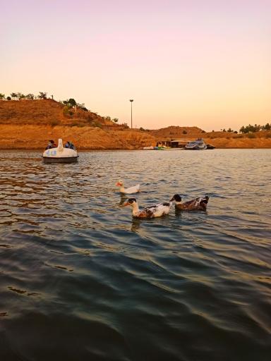 عکس مجموعه تفریحی توریستی چالیدره