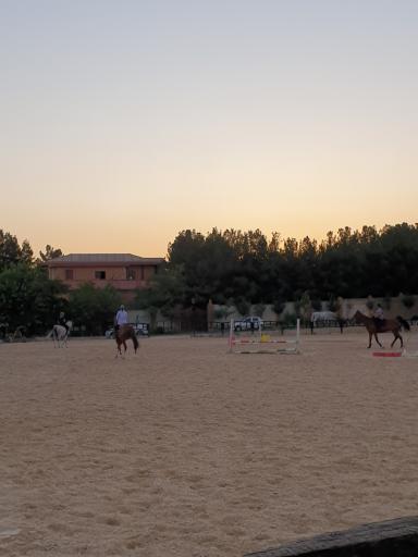 عکس باشگاه سوارکاری غزالی