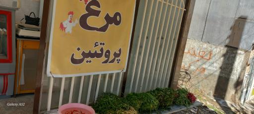 عکس مرغ فروشی پر طلایی