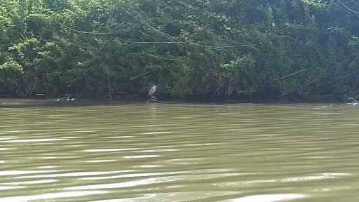 اسکله قایقرانی تالاب انزلی