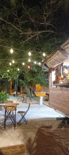 عکس کافه باغ ملی