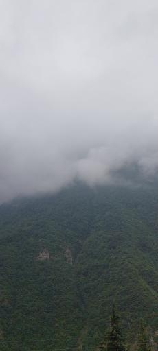 عکس بام سبز تنکابن