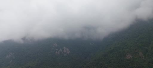 عکس بام سبز تنکابن