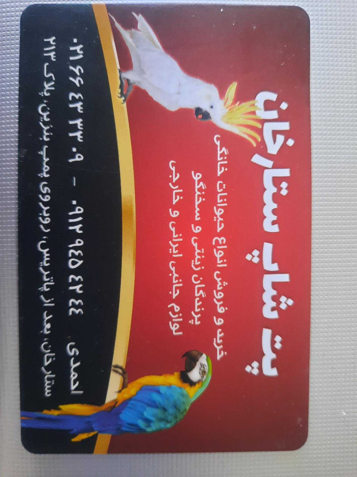 عکس سرای پرنده