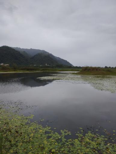 عکس استخر بزرگ کومله