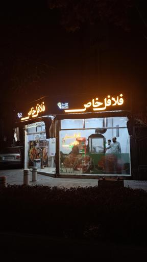 عکس فلافل خاص