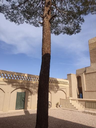 عکس اقامتگاه کاج بوم