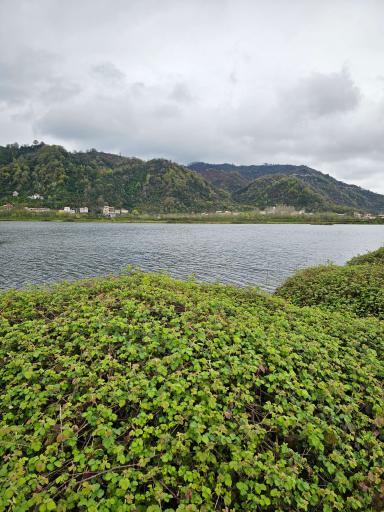 عکس استخر بزرگ کومله