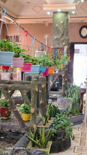 عکس رستوران الماس