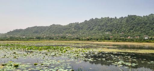 عکس استخر بزرگ کومله