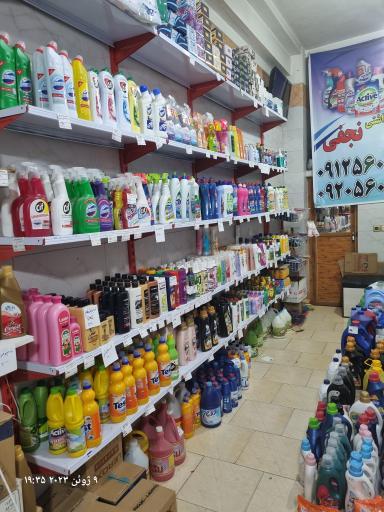 عکس شوینده بهداشتی نجفی