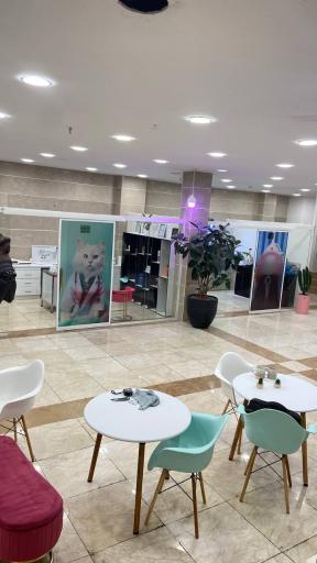 عکس پت شاپ ای پت