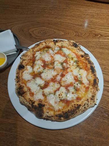 عکس موتورینو