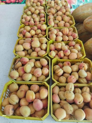 عکس سوپر میوه فروشی پایگاه