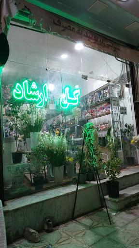عکس گل فروشی ارشاد