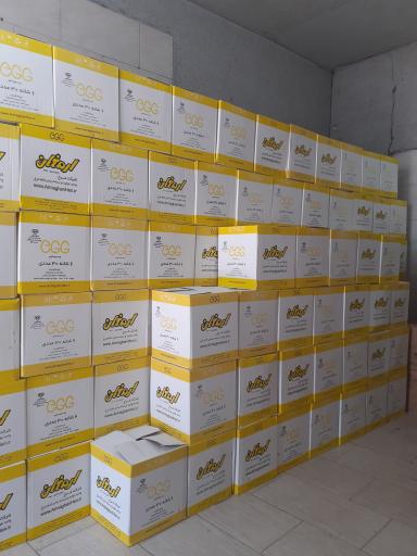 عکس بنکداری تخم مرغ روز