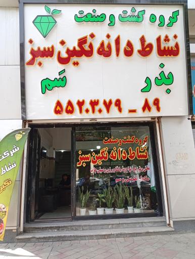 عکس نشاط دانه نگین سبز 