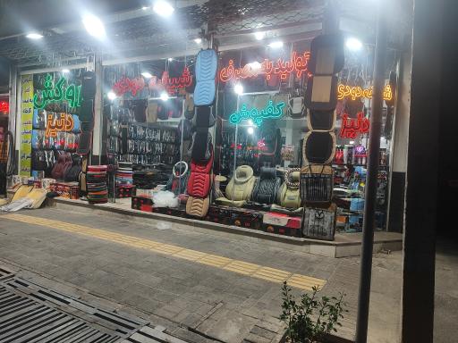 عکس دنیز روکش