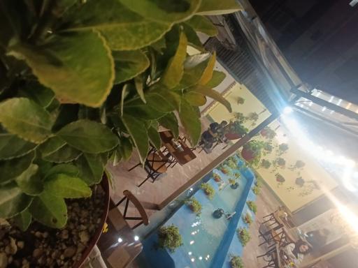 عکس کافه کتاب یک پاکت تهران