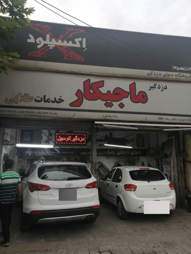 عکس دزدگیر رضا مجیکار