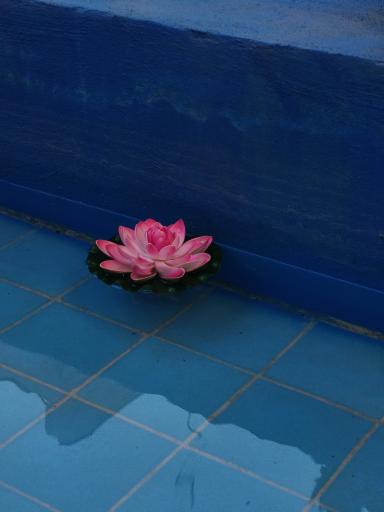 کافه کتاب یک پاکت تهران