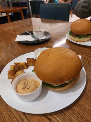 عکس موتورینو