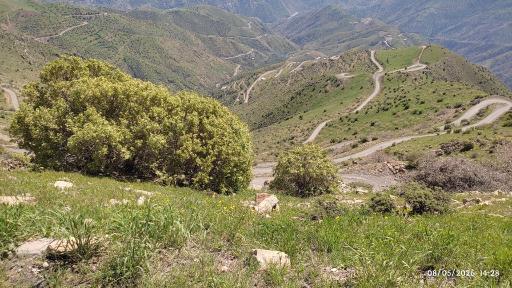 عکس نوسود